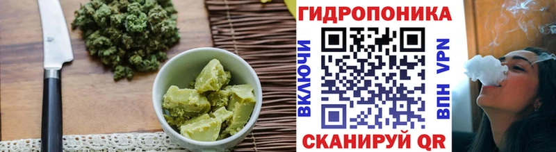 OMG ONION  Ува  Canna-Cookies конопля 