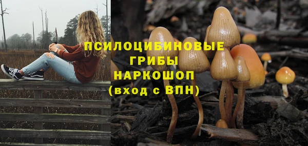 мет Абаза
