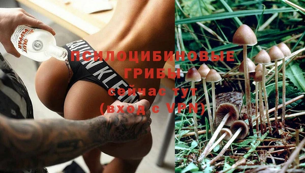 герыч Абдулино